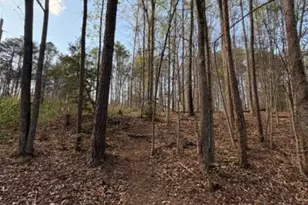 447 Hopewell Church Rd, Catawba, NC 28609 - Photo 1