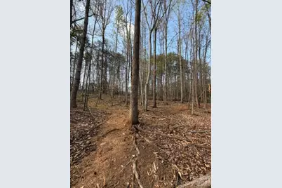 447 Hopewell Church Road #58, Catawba, NC 28609 - Photo 10