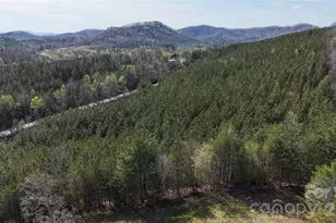 00 Nc Hwy 226 Hwy, Bostic, NC 28018 - Photo 1