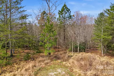 184 Ridge Point Road, Nebo, NC 28761 - Photo 6