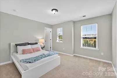 7019 Hamilton Mill Drive, Waxhaw, NC 28173 - Photo 20