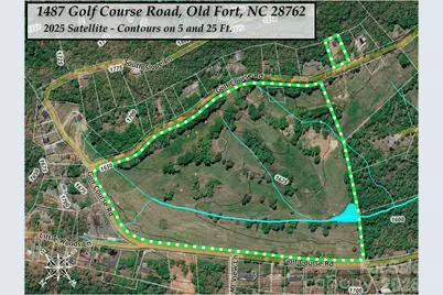 1487 Golf Course Road, Old Fort, NC 28762 - Photo 30