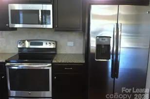 12713 Wither Steele Ct, Charlotte, NC 28273 - Photo 10