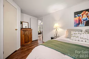 243 Buffalo Creek Rd, Lake Lure, NC 28746 - Photo 20