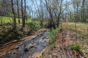 243 Buffalo Creek Rd, Lake Lure, NC 28746 - Photo 4