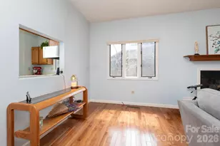 305 Piney Mountain Dr, Asheville, NC 28805 - Photo 8