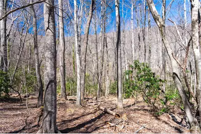 99 Banjo Branch Road, Burnsville, NC 28714 - Photo 24