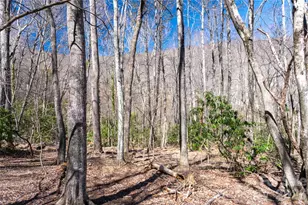 99 Banjo Branch Rd, Burnsville, NC 28714 - Photo 24