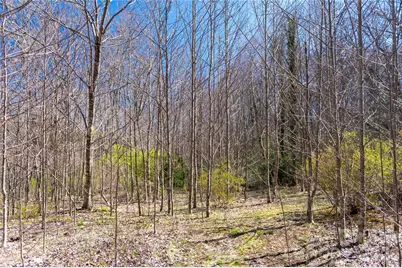 99 Banjo Branch Road, Burnsville, NC 28714 - Photo 10