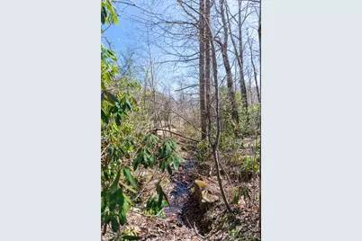 99 Banjo Branch Road, Burnsville, NC 28714 - Photo 16