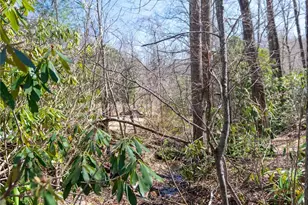 99 Banjo Branch Rd, Burnsville, NC 28714 - Photo 16