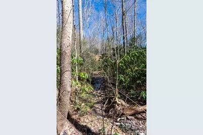 99 Banjo Branch Road, Burnsville, NC 28714 - Photo 28