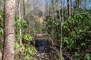 99 Banjo Branch Rd, Burnsville, NC 28714 - Photo 28