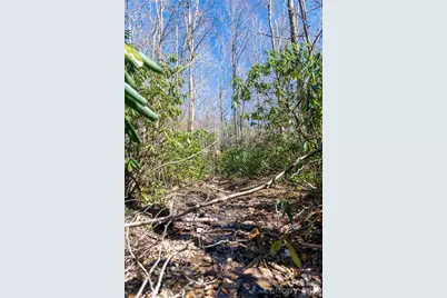 99 Banjo Branch Road, Burnsville, NC 28714 - Photo 26