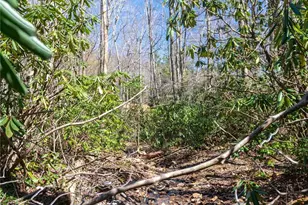 99 Banjo Branch Rd, Burnsville, NC 28714 - Photo 26