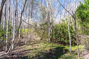 99 Banjo Branch Rd, Burnsville, NC 28714 - Photo 12