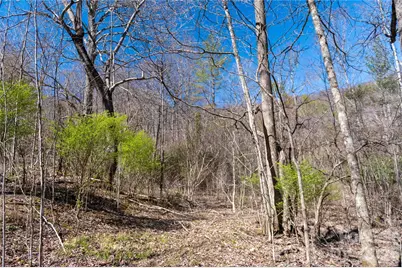 99 Banjo Branch Road, Burnsville, NC 28714 - Photo 32