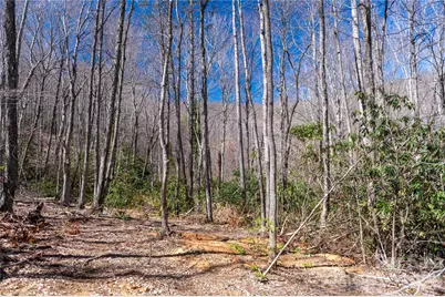 99 Banjo Branch Road, Burnsville, NC 28714 - Photo 22