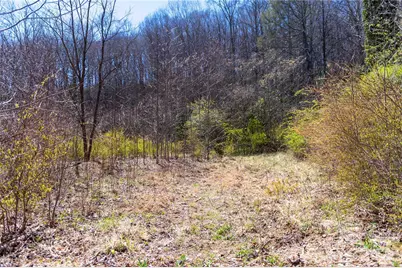 99 Banjo Branch Road, Burnsville, NC 28714 - Photo 6