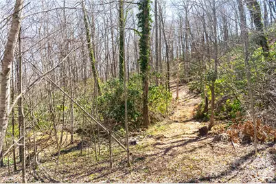 99 Banjo Branch Road, Burnsville, NC 28714 - Photo 14