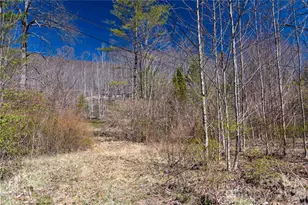 99 Banjo Branch Rd, Burnsville, NC 28714 - Photo 8