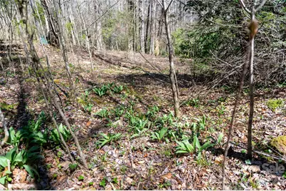 99 Banjo Branch Road, Burnsville, NC 28714 - Photo 30