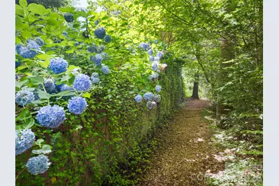 935 Whites Lake Boulevard, Saluda, NC 28773 - Photo 44