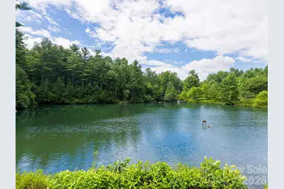 935 Whites Lake Boulevard, Saluda, NC 28773 - Photo 46