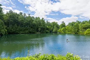 935 Whites Lake Blvd, Saluda, NC 28773 - Photo 46