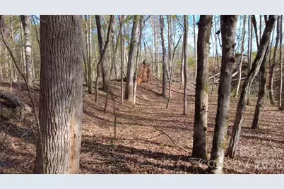 00 Bobby Faucette Road #5, Jonesville, SC 29353 - Photo 10