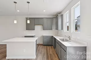 203 Vanguard Ln, Cramerton, NC 28032 - Photo 10