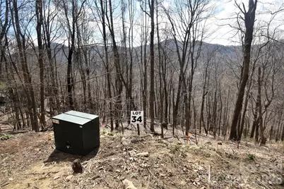34 Montana Stone Trail #34, Waynesville, NC 28785 - Photo 2