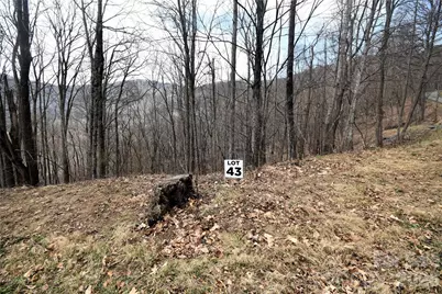 43 Marble Stone Drive #43, Waynesville, NC 28785 - Photo 2