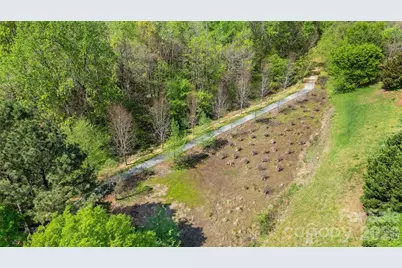 9548 Birkwood Court, Charlotte, NC 28278 - Photo 24