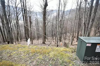 44 Prosperity Ridge #44, Waynesville, NC 28785 - Photo 4