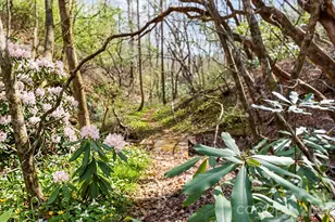 12 Bird Creek Estates Rd, Black Mountain, NC 28711 - Photo 38