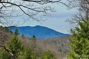 65 Blue Ridge Gem Stone Rd, Little Switzerland, NC 28777 - Photo 1