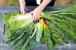 6 River Run, Asheville, NC 28804 - Photo 40