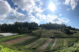 6 River Run, Asheville, NC 28804 - Photo 38