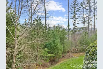 22 S Kaufman Stone Way, Biltmore Lake, NC 28715 - Photo 38