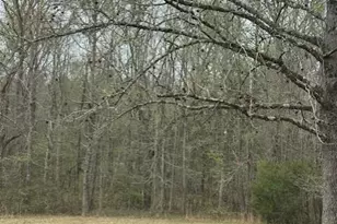 1216 Raxter Rd, Edgemoor, SC 29712 - Photo 14