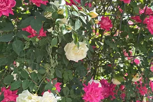 44134 Vickers Store Rd, Albemarle, NC 28001 - Photo 46