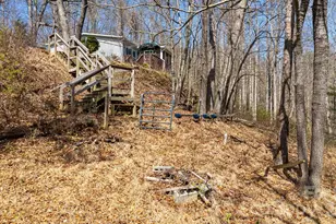 403 Youngs Gap Rd, Fletcher, NC 28732 - Photo 34