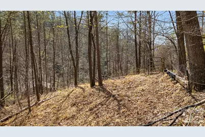 403 Youngs Gap Road, Fletcher, NC 28732 - Photo 36