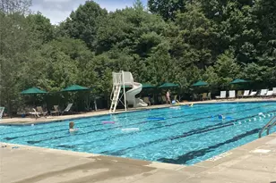 101 White Ash Dr E, Asheville, NC 28803 - Photo 48