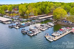 9101 Pitcairn Dr, Tega Cay, SC 29708 - Photo 46