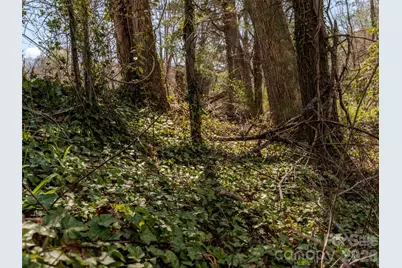 4 Overlook Place #Lot 5, Asheville, NC 28803 - Photo 10