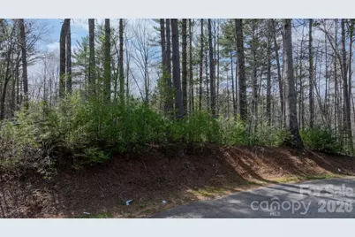 503 Larkhaven Drive, Nebo, NC 28761 - Photo 4