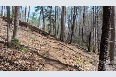 503 Larkhaven Drive, Nebo, NC 28761 - Photo 16