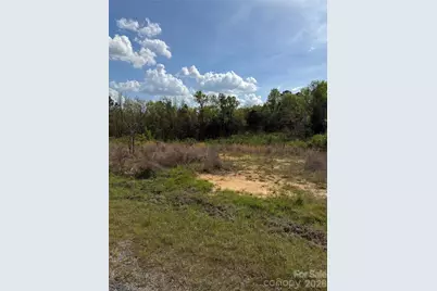 Tbd Springwood Lakes Road, Chester, SC 92706 - Photo 2